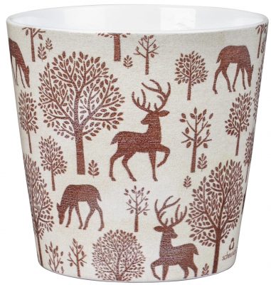 Obal 778 Woodland red lesk 14 /VÁNOCE 2023/