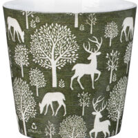 Obal 778 Woodland green lesk 14 /VÁNOCE 2023/