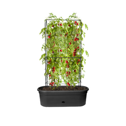 Truhlík Green Basics Veggie Wall - living black 80 cm - Obrázek 2