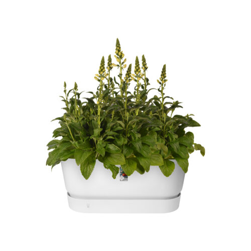 Truhlík Greenville Terrace - white 80 cm - Obrázek 2