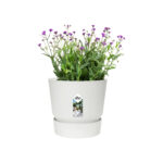 Obal Greenville Round - white 25 cm - Obrázek 2