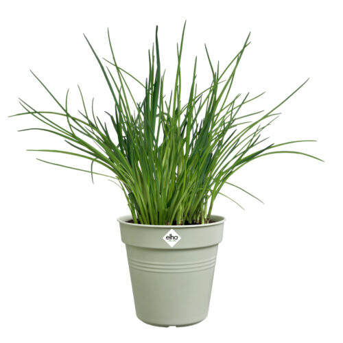 Květináč Green Basics - stone green 19 cm - Obrázek 2