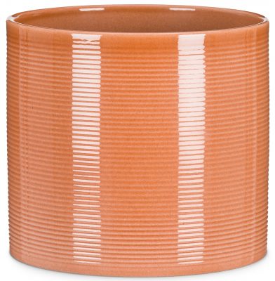 Obal 828 Papaya lesk 19