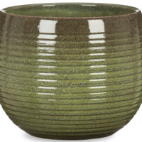 Obal 744 Wild Jungle lesk 18
