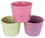 Obal 811 primule mix 3 barvy mat 10 cm - Obrázek 2