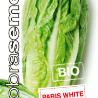 Dobrá semena BIO Salát římský - Paris White 0,4g