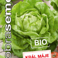 Dobrá semena BIO Salát hlávkový - Král Máje 0,4g