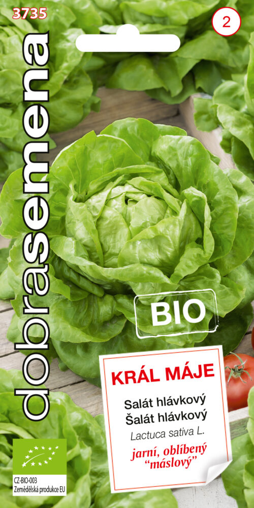 Dobrá semena BIO Salát hlávkový - Král Máje 0,4g - Obrázek 1