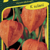 Mochyně židovská - oranžová (k sušení) 0,2g