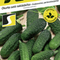 Okurka nakl. - Artemis F1 partenokarpická hr 1,5g