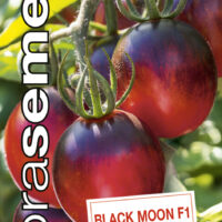 Dobrá semena Rajče tyč. - Black Moon F1 10s  černé, koktejlové, chutné