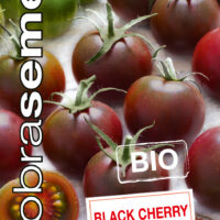 Dobrá semena BIO Rajče tyč. - Black Cherry, třešňové 10s