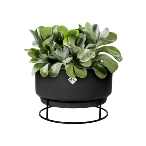 Obal B.For Studio Bowl - living black 30 cm - Obrázek 2