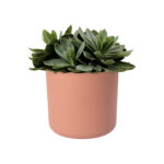 Obal B.For Soft Round - delicate pink 14 cm - Obrázek 2