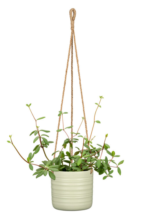 Obal 450 závěsný Silent Green mat 17 - Obrázek 2