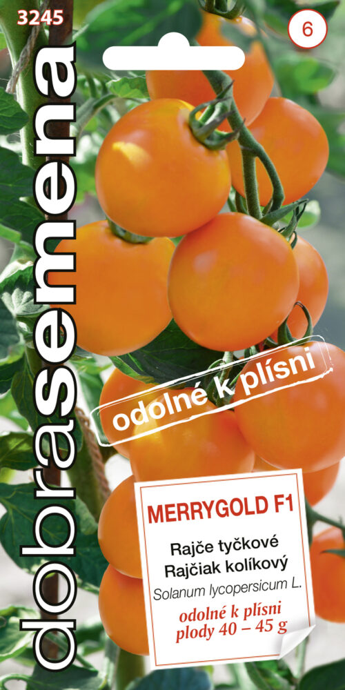 Dobrá semena Rajče tyč. - Merrygold F1 10s oranžové, odolné proti plísni - Obrázek 1