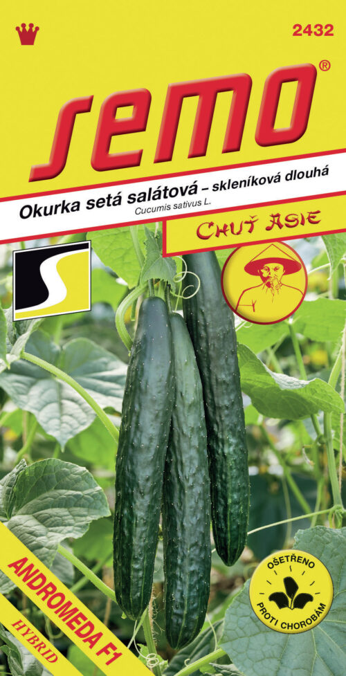 Okurka sklen. - Andromeda F1 (SM 41/21) 10s - série ASIE - Obrázek 1