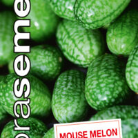 Dobrá semena Mexická Okurka - Mouse Melon 20s