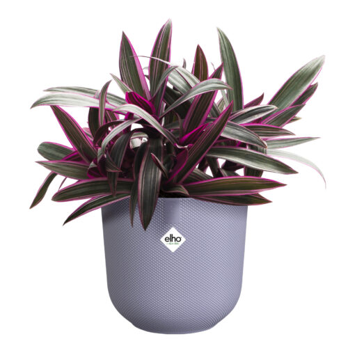 Obal Jazz - lavender lilac 16 cm - Obrázek 2