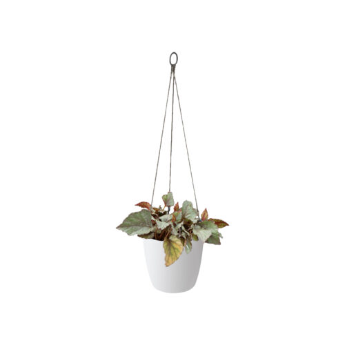 Obal Brussels Hanging Basket - white 18 cm - Obrázek 2