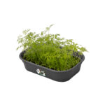 Spodní díl k minipařeništi Green Basics L - living black - Obrázek 2