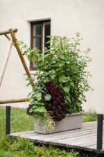 Truhlík samozavlažovací Berberis Trio - taupe 117 cm - Obrázek 2