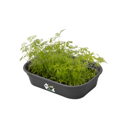 Spodní díl k minipařeništi Green Basics M - living black - Image 2