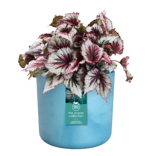 Obal The Ocean collection round - atlantic blue 14 cm - Obrázek 2