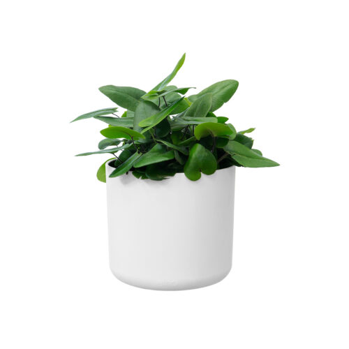 Obal B.For Soft Round - white 14 cm - Obrázek 2