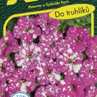 Petunie mnohokvětá - Dot Star Deep Pink F1 40p