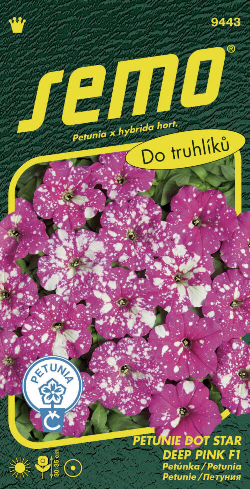Petunie mnohokvětá - Dot Star Deep Pink F1 40p - Obrázek 1