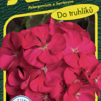 Pelargonie páskatá - Night Violet F1 11s