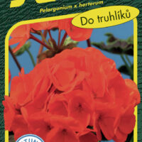 Pelargonie páskatá - Night Scarlet F1 11s