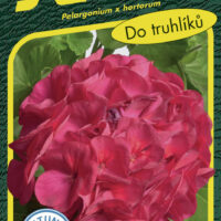 Pelargonie páskatá - Eva F1 11s
