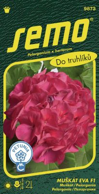Pelargonie páskatá - Eva F1 11s