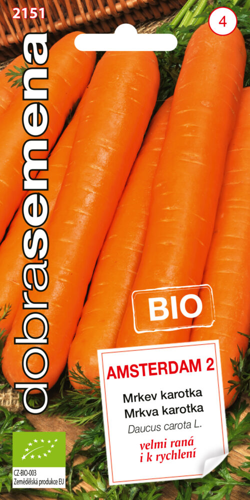 Dobrá semena BIO Mrkev karotka - Amsterdam raná k rychlení 2g - Image 1