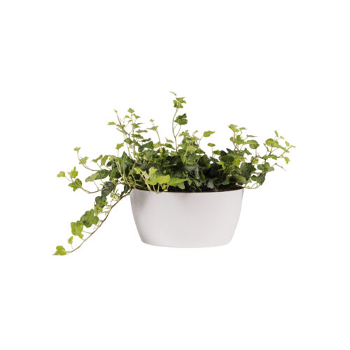 Žardina Brussels Bowl - white 23 cm - Image 2