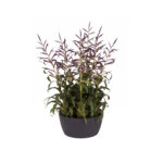 Žardina Brussels Bowl - antracit 23 cm - Obrázek 2