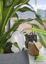 Zavlažovací systém (baňka) 110 Bördy S Transparent/Clear 16 cm - 90 ml