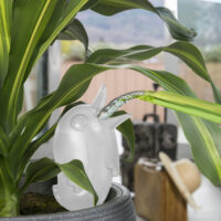 Zavlažovací systém (baňka) 110 Bördy S Transparent/Clear 16 cm - 90 ml