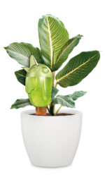 Zavlažovací systém (baňka) 110 Bördy M Green 20 cm - 220 ml - Obrázek 2