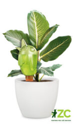 Zavlažovací systém (baňka) 110 Bördy M Green 20 cm - 220 ml