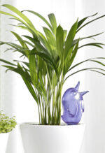 Zavlažovací systém (baňka) 110 Bördy M Blue 20 cm - 220 ml - Obrázek 2