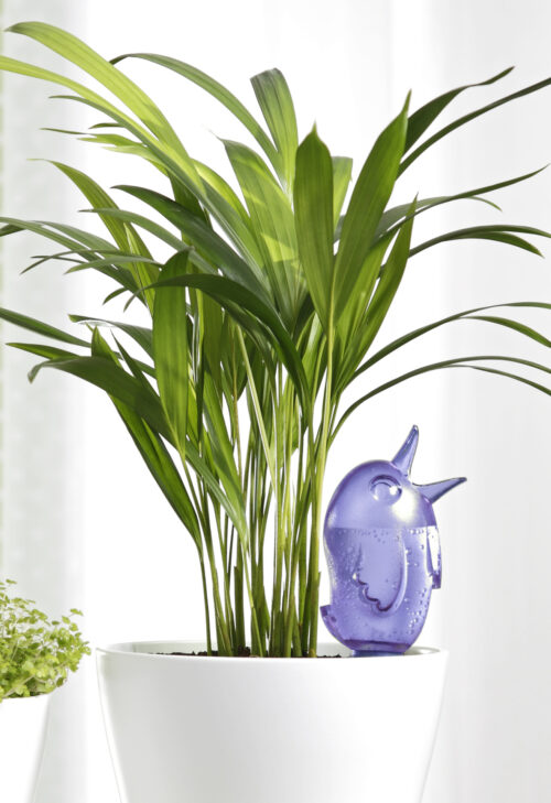 Zavlažovací systém (baňka) 110 Bördy M Blue 20 cm - 220 ml - Obrázek 2
