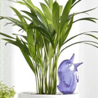 Zavlažovací systém (baňka) 110 Bördy M Blue 20 cm - 220 ml