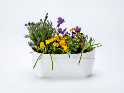 Truhlík samozavlažovací Doppio - bílá 38 cm - Image 2