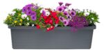 Truhlík samozavlažovací Berberis Trio - antracit 117 cm - Obrázek 2