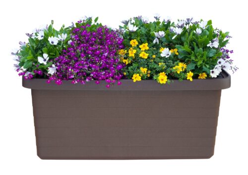 Truhlík samozavlažovací Berberis Duo - čokoládový 80 cm - Obrázek 2
