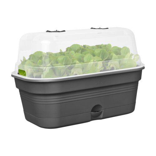 Truhlík Green Basics growpot tray all-in-1 39 cm - living black - Obrázek 2