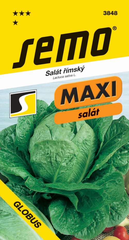 Salát římský - Globus PROFI 0,7g - série MAXI - Image 1
